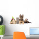 Group Pets Wall Decal