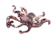 Octopus Shot over White Wall Decal