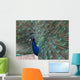 Peacock Wall Decal
