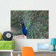 Peacock Wall Decal