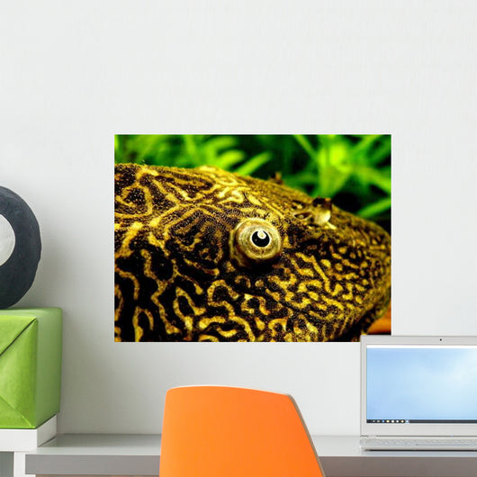 Pleco Wall Decal