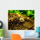 Pleco Wall Decal