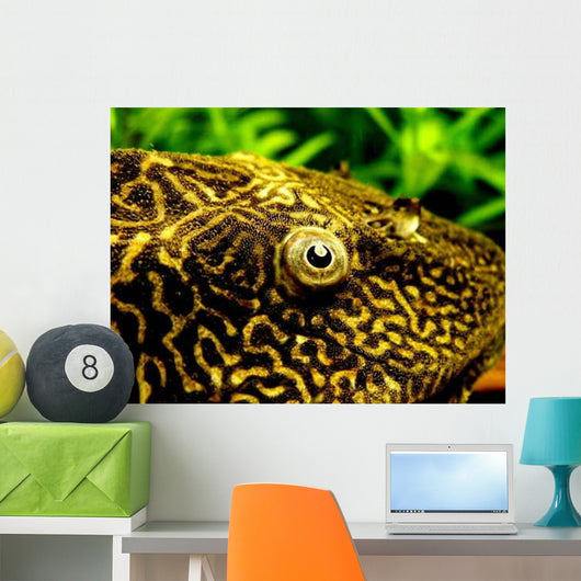 Pleco Wall Decal