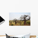 Baobabs and Savannah Africa Wall Decal