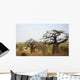 Baobabs and Savannah Africa Wall Decal