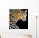 Leopard Portrait Dark Wall Decal