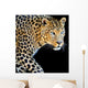 Leopard Portrait Dark Wall Decal