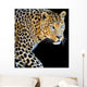 Leopard Portrait Dark Wall Decal