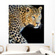 Leopard Portrait Dark Wall Decal