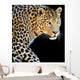 Leopard Portrait Dark Wall Decal