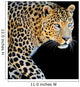 Leopard Portrait Dark Wall Decal