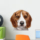Beagle Puppy Dog Head Wall Decal