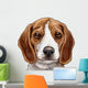 Beagle Puppy Dog Head Wall Decal
