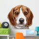 Beagle Puppy Dog Head Wall Decal