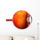 3D Auge Wall Decal