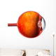 3D Auge Wall Decal