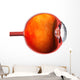 3D Auge Wall Decal