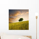 Solitary Tree Wheat Field Wall Decal