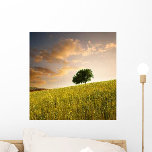Solitary Tree Wheat Field Wall Decal