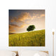Solitary Tree Wheat Field Wall Decal