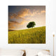 Solitary Tree Wheat Field Wall Decal