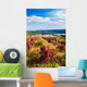 Red Vineyard Wall Decal