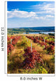 Red Vineyard Wall Decal