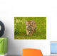 Snow Leopard Wall Decal