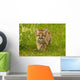 Snow Leopard Wall Decal