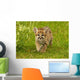 Snow Leopard Wall Decal