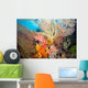 Coral Reef Landscape Wall Decal
