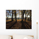 Camping Wall Decal