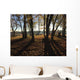 Camping Wall Decal