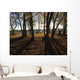 Camping Wall Decal