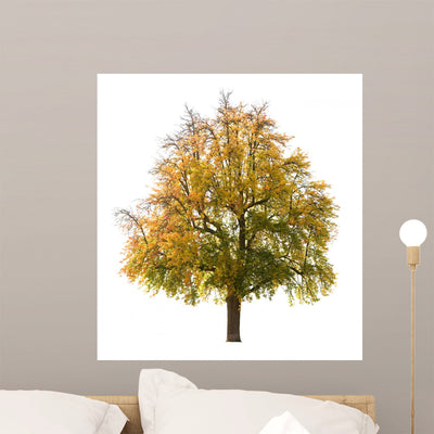 Pear Tree Autumn Early Wall Decal shown on a wall