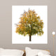 Pear Tree Autumn Early Wall Decal