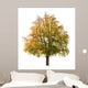 Pear Tree Autumn Early Wall Decal