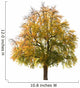 Pear Tree Autumn Early Wall Decal