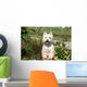 Westie Grimpe Sur Une Wall Decal