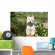 Westie Grimpe Sur Une Wall Decal