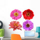Four Zinnia Flowers Wall Decal Sticker Set