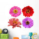 Four Zinnia Flowers Wall Decal Sticker Set