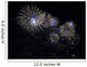 Sparkling Fireworks New Year Wall Decal
