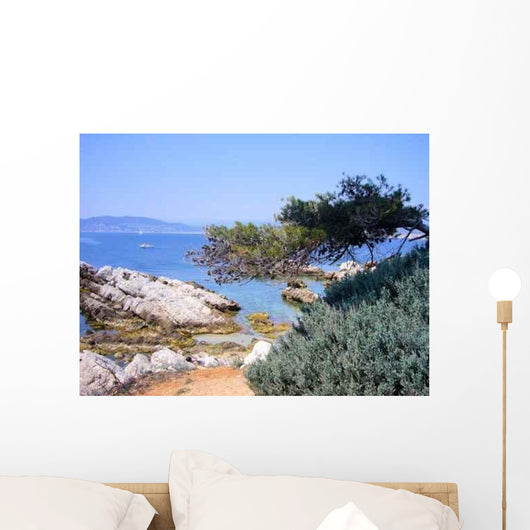 Colors South Wall Decal