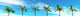 Palm Trees Sky Banner Wall Decal