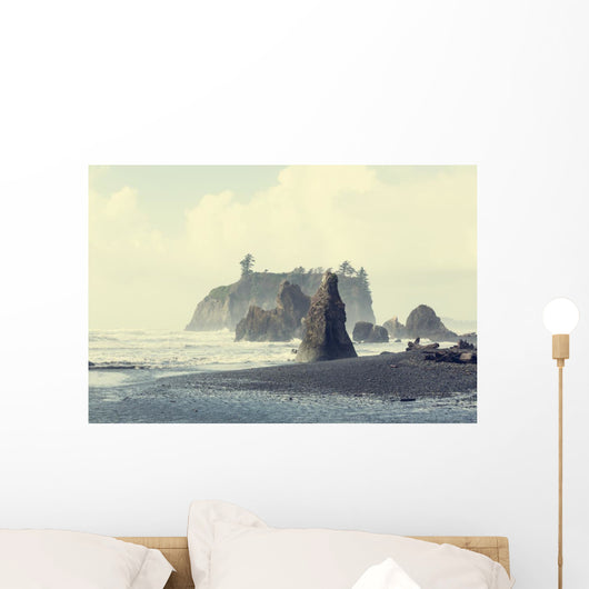 Olympic coast Wall Mural