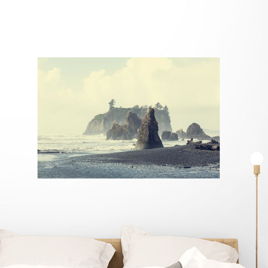 Olympic coast Wall Mural