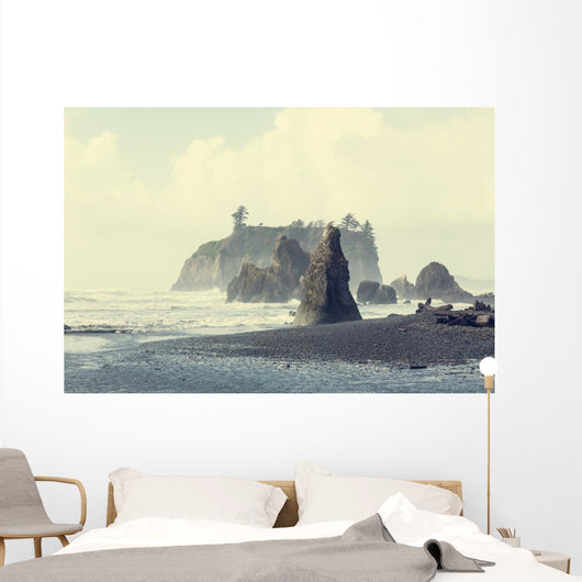 Olympic coast Wall Mural