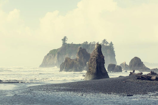 Olympic coast Wall Mural