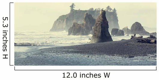 Olympic coast Wall Mural